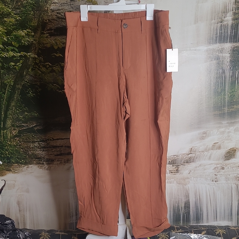 New! A New Day Womens 10 fall copper brown ankle length pleated casual pants